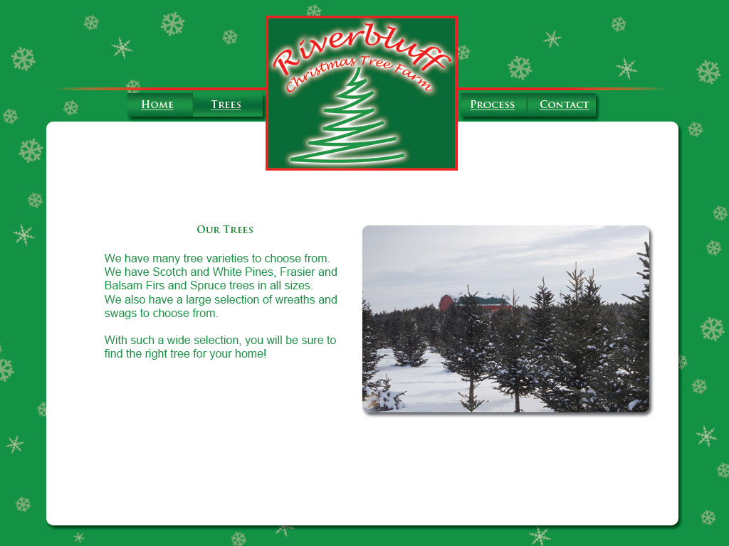 We have many tree varieties to choose from. We have Scotch and White Pines, Frasier and Balsam Firs and Spruce trees in all sizes. We also have a large selection of wreaths and swags to choose from. With such a wide selection, you will be sure to find the right tree for your home!